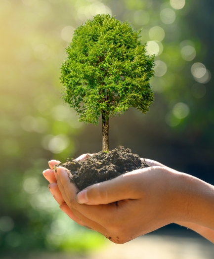 Autorizzazioni ambientali per le aziende: quali servono e come ottenerle